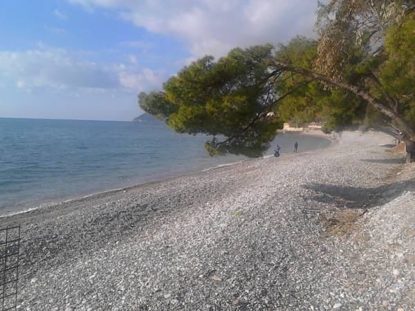 Šušanjska Plaža