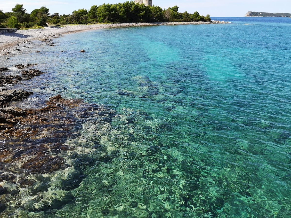 Plaža Arza