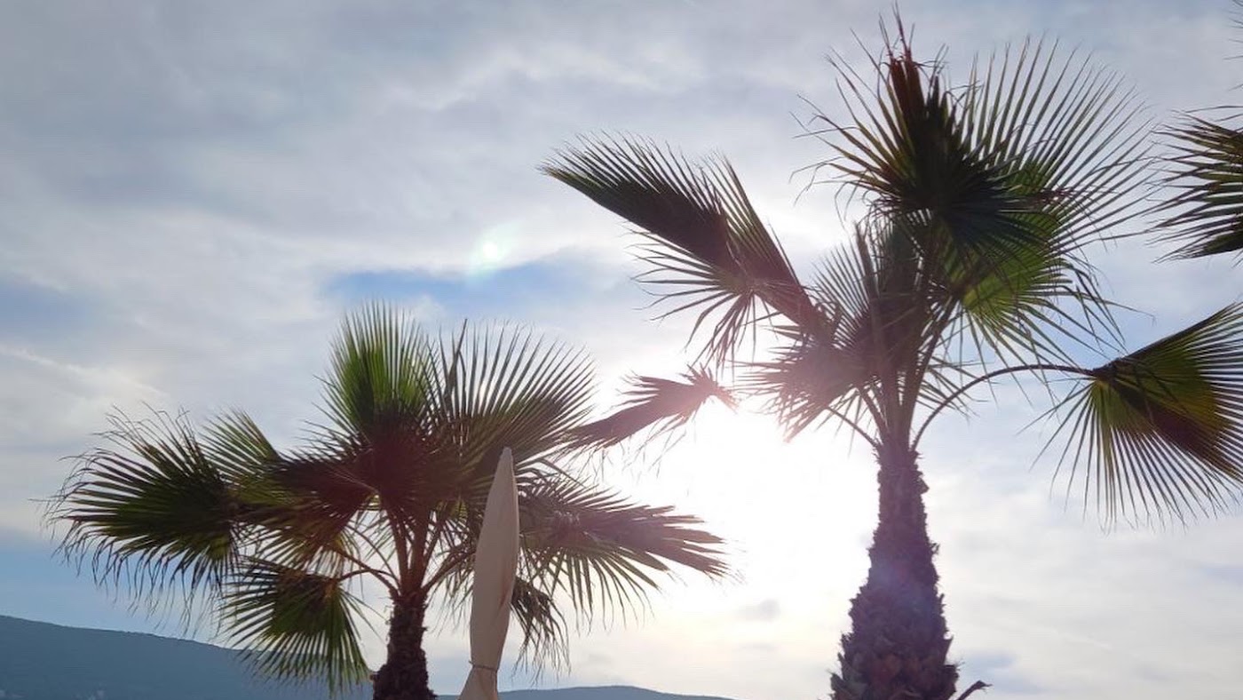 Bolivar Beach Bar