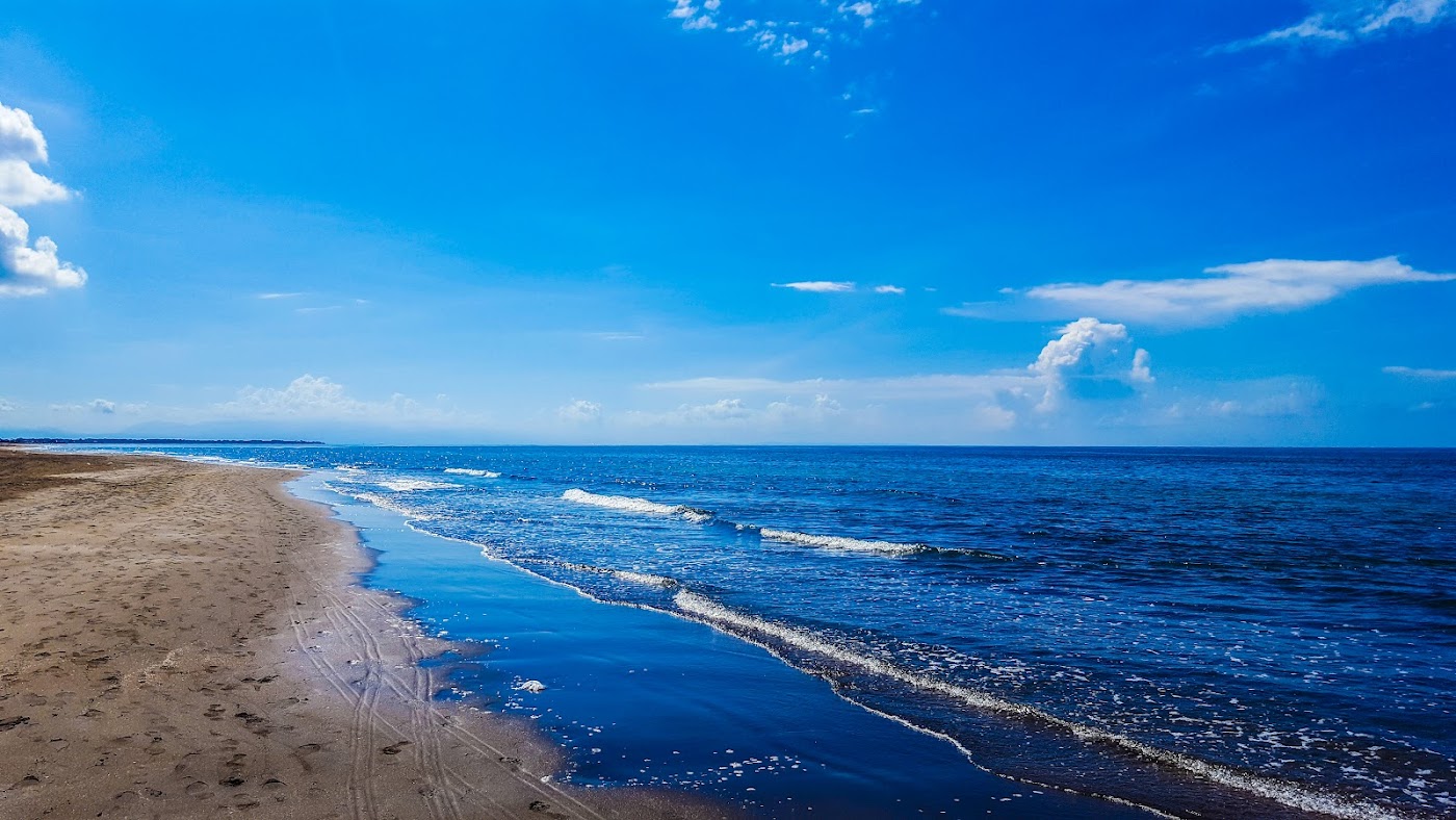 Olea Beach