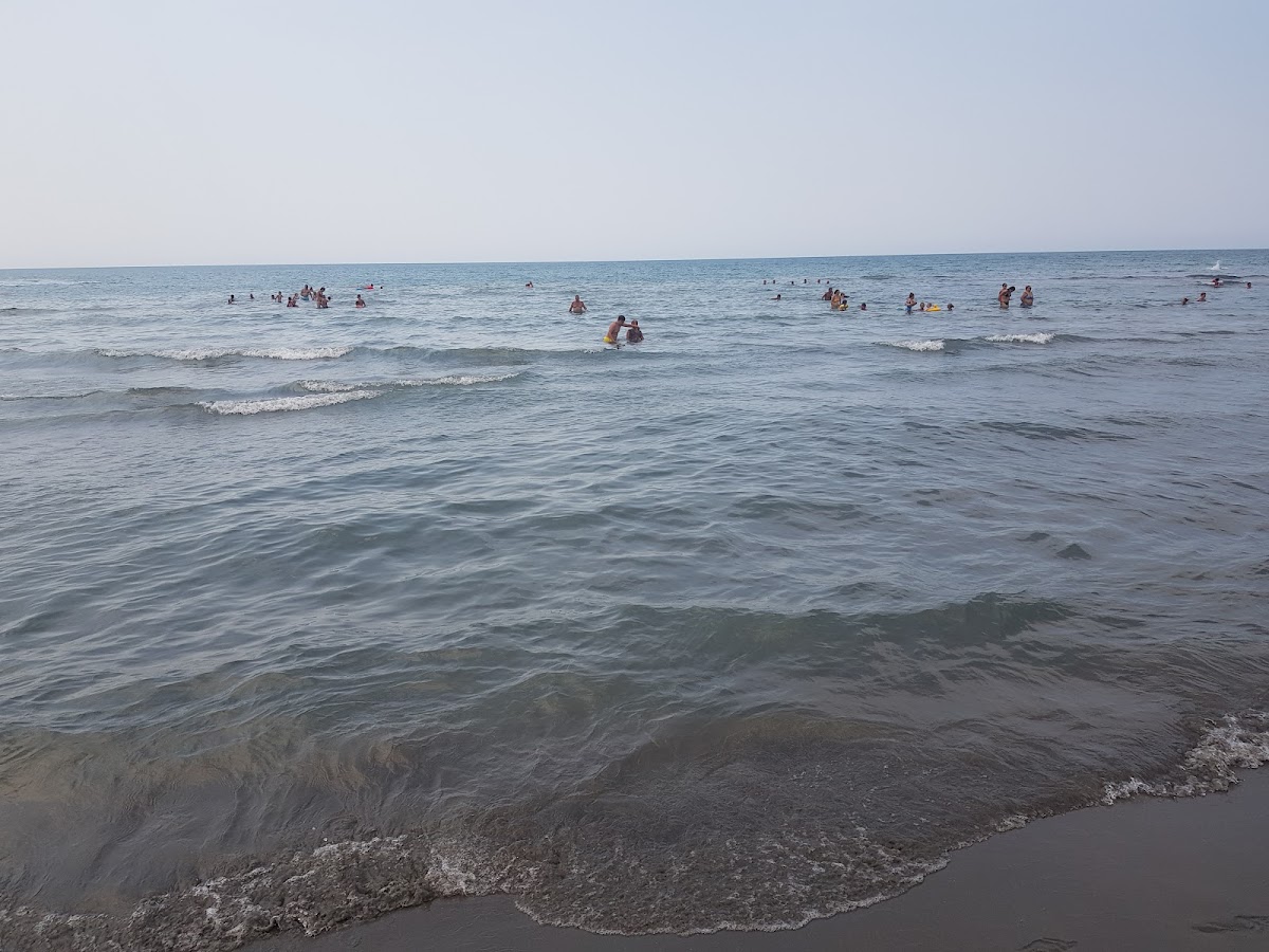 MCM Beach