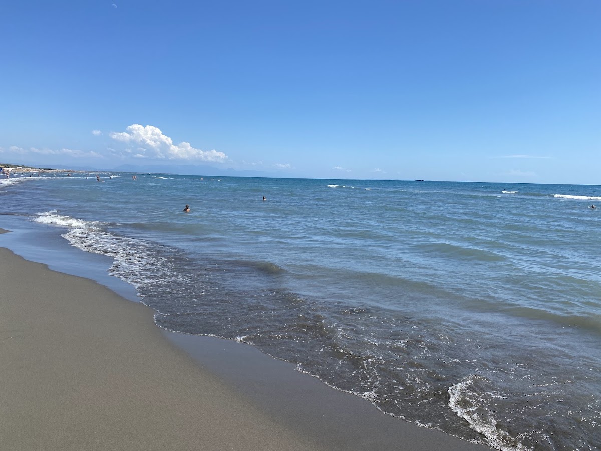 Pearl Beach 3
