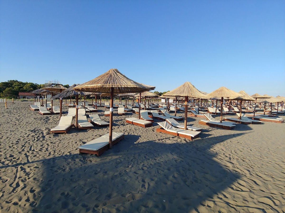 Beach Bar
