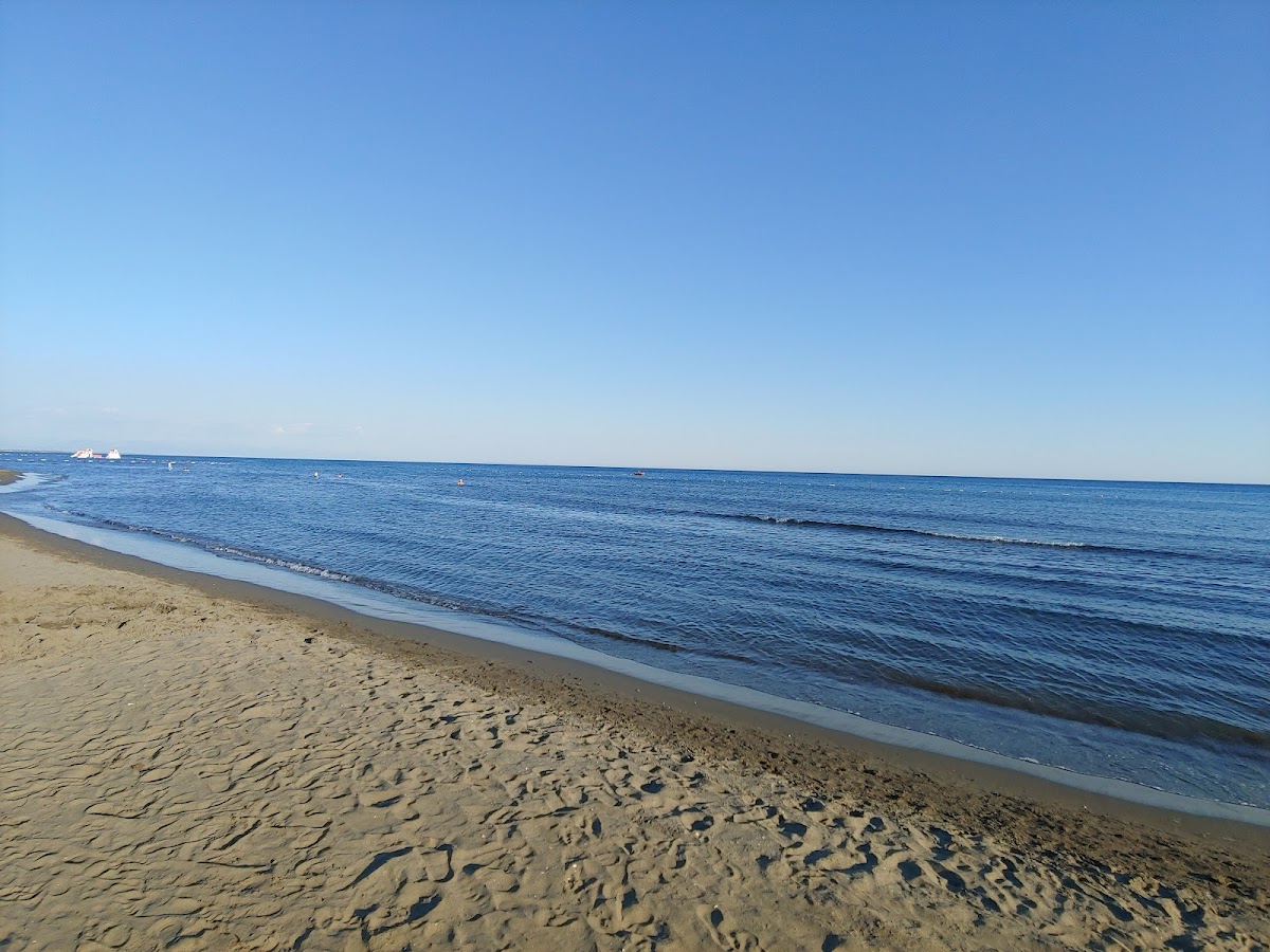 Beach Bar