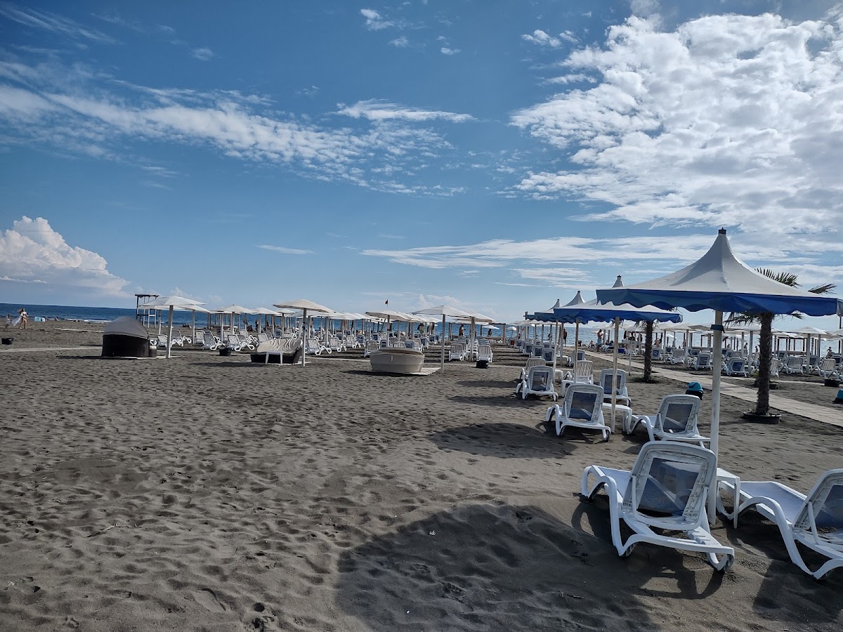 Tropicana Beach