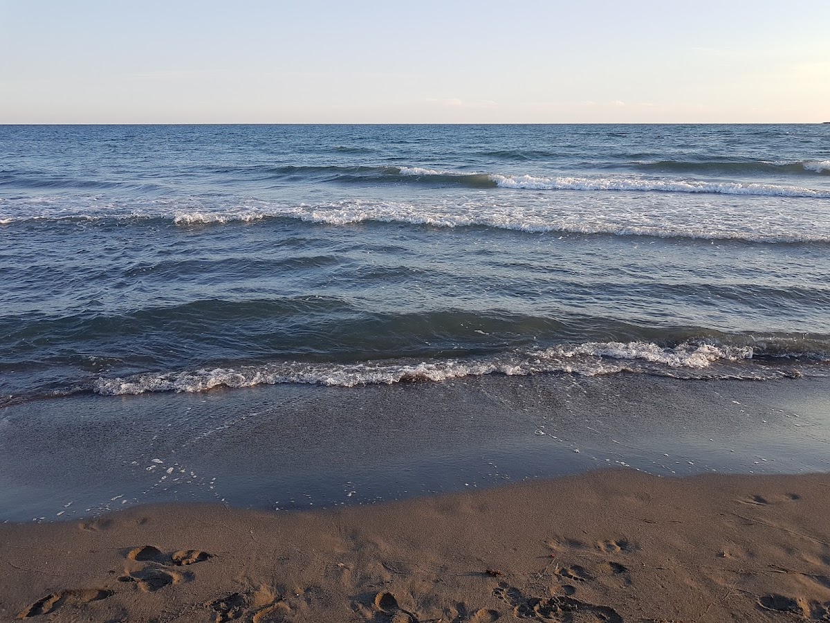 Havana Beach