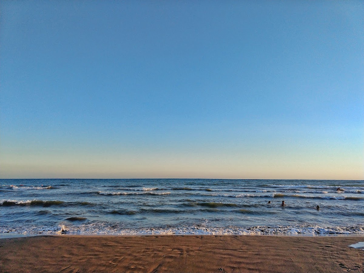 Safari Beach