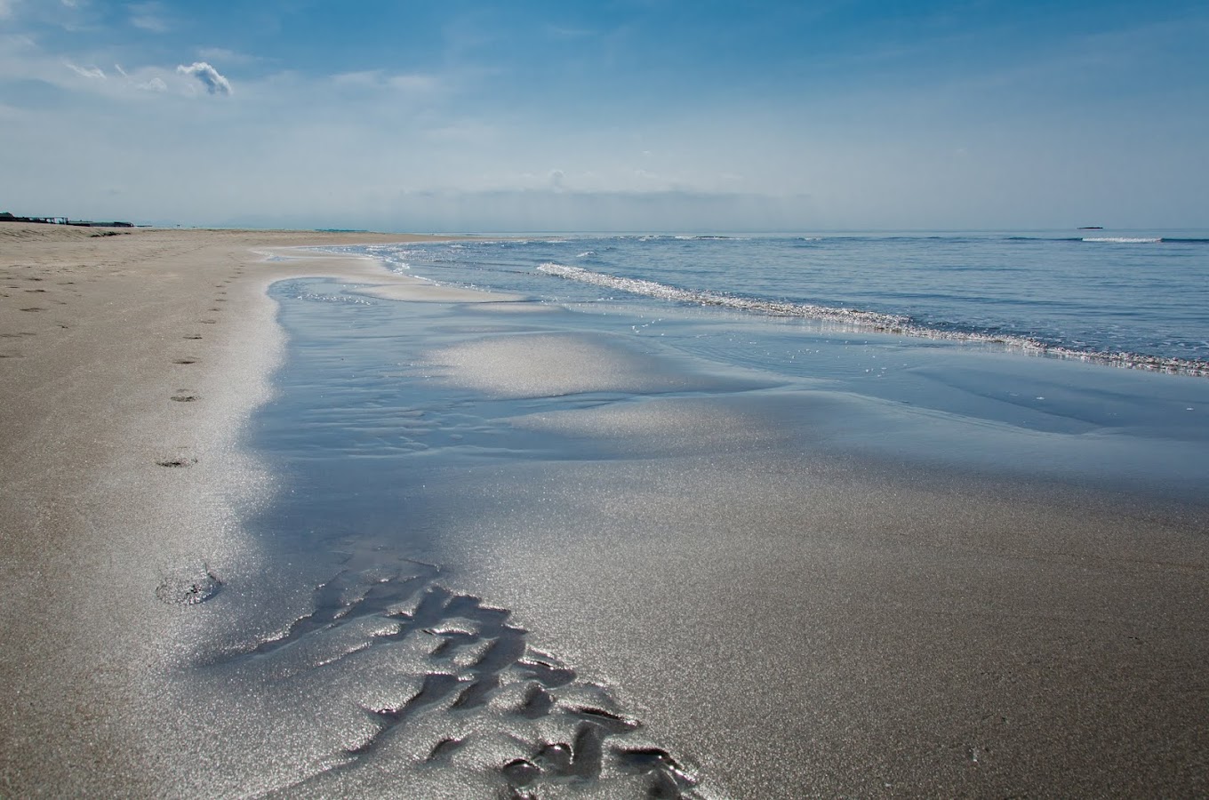 Safari Beach