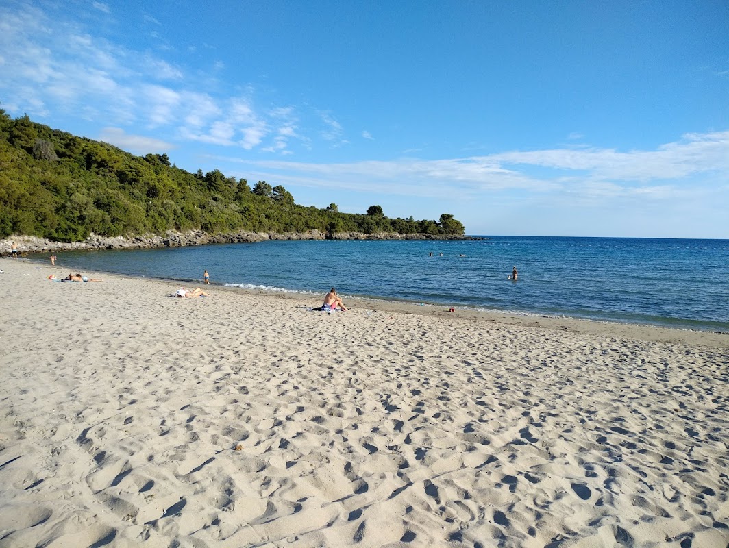 Plavi Horizonti